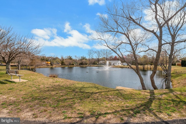 398 Grande Blvd, Rio Grande, NJ 08242 - view of water feature
