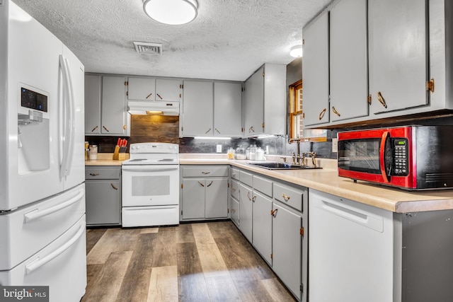 kitchen with white appliances, gray cabinetry, under cabinet range hood, and wood finished floors