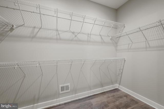309 Gun Club Rd, Stephenson, VA 22656 - walk in closet with visible vents and wood finished floors