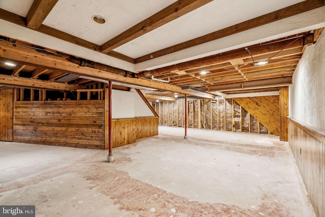 basement with wood walls