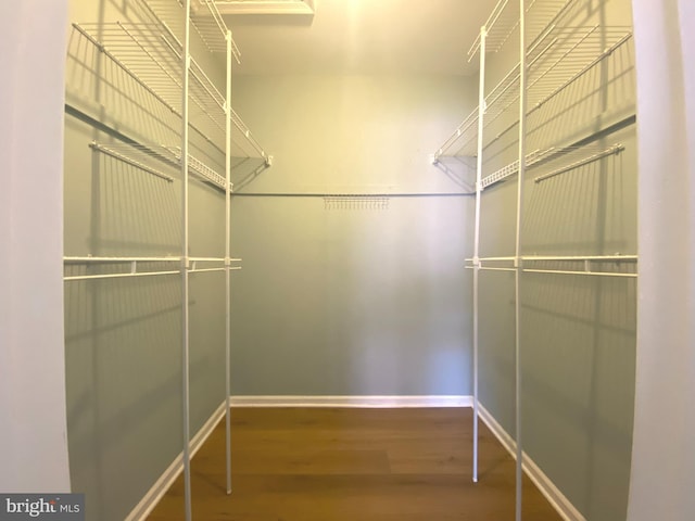 97 Kirkwood Dr, Newtown, PA 18940 - spacious closet with wood finished floors