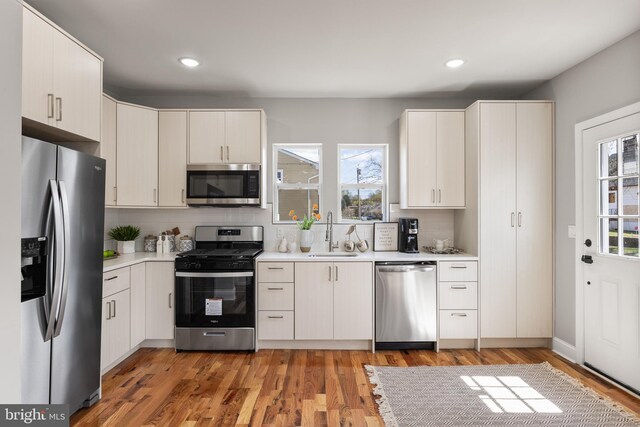 1217 Chestnut St, Burlington, NJ 08016 - kitchen featuring plenty of natural light, light countertops, a sink, and appliances with stainless steel finishes