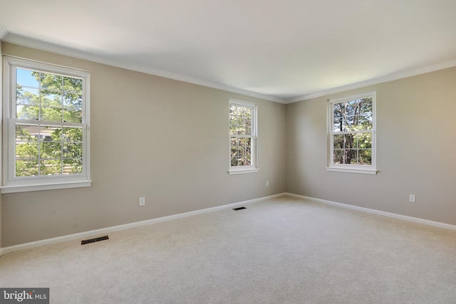 spare room featuring ornamental molding and a healthy amount of sunlight