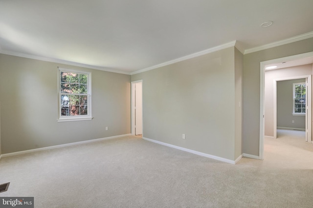 spare room featuring crown molding, a wealth of natural light, and light carpet