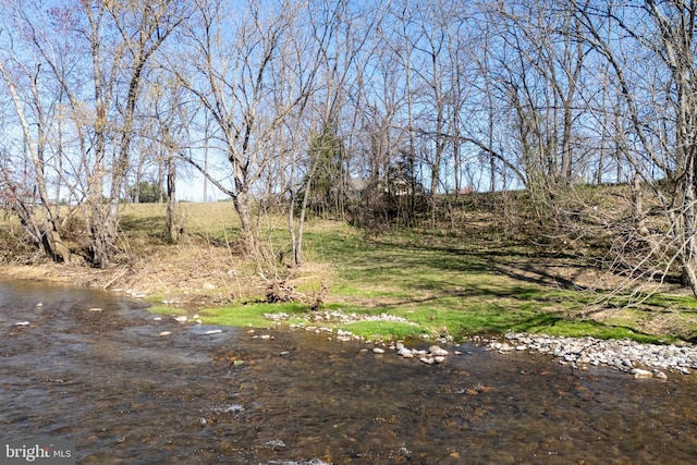 901 Riverside Ave, Grottoes, VA 24441 - view of yard