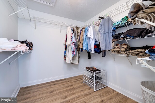 901 Riverside Ave, Grottoes, VA 24441 - spacious closet with attic access and wood finished floors