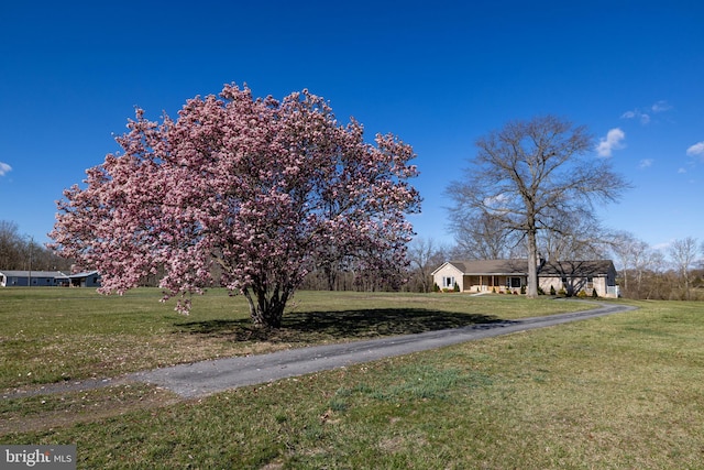 901 Riverside Ave, Grottoes, VA 24441 - exterior space with a yard