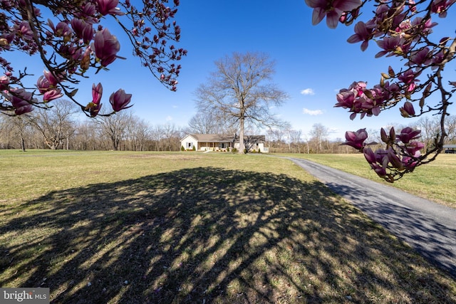 901 Riverside Ave, Grottoes, VA 24441 - view of street featuring aphalt driveway