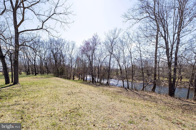 901 Riverside Ave, Grottoes, VA 24441 - view of yard