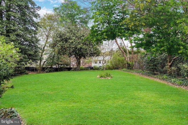 2709 Mckinley St NW, Washington, DC 20015 - view of yard