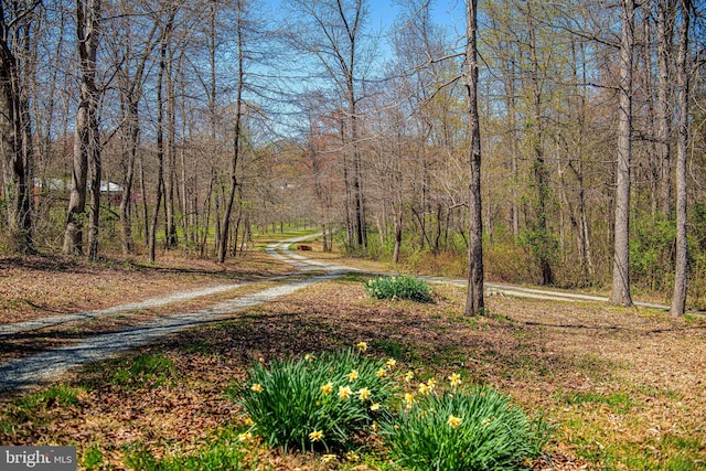 view of street featuring a wooded view
