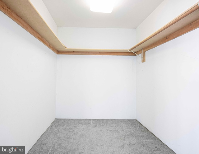 spacious closet with carpet flooring