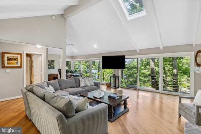 3 Steffen Point Hts, Annapolis, MD 21401 - living room featuring a skylight, beam ceiling, high vaulted ceiling, and light wood-style flooring
