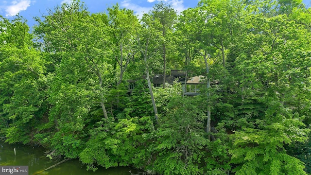 3 Steffen Point Hts, Annapolis, MD 21401 - view of undeveloped land with a nearby body of water
