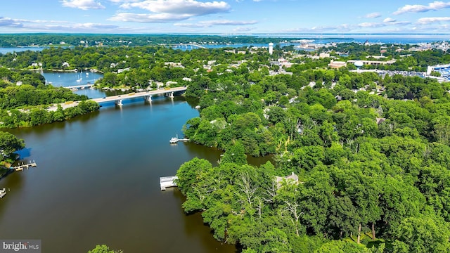 3 Steffen Point Hts, Annapolis, MD 21401 - bird's eye view of a large body of water