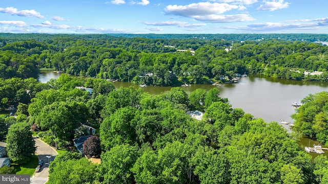 3 Steffen Point Hts, Annapolis, MD 21401 - drone / aerial view of a forest and a nearby body of water