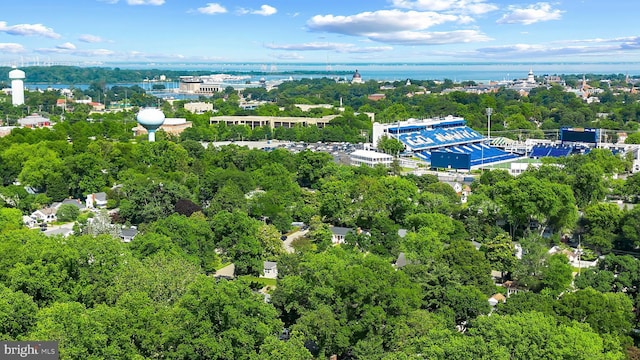 3 Steffen Point Hts, Annapolis, MD 21401 - bird's eye view of a tree filled landscape and a nearby body of water
