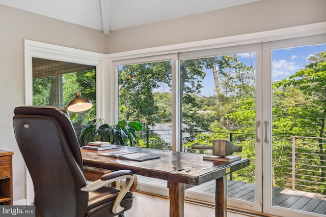3 Steffen Point Hts, Annapolis, MD 21401 - office area with plenty of natural light, wood finished floors, and lofted ceiling