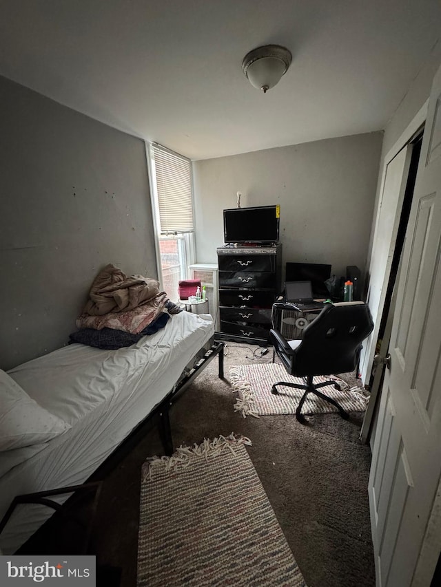 view of carpeted bedroom