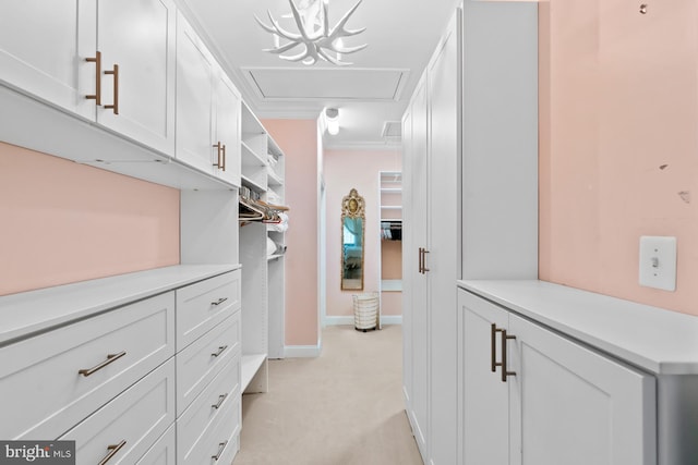 view of spacious closet