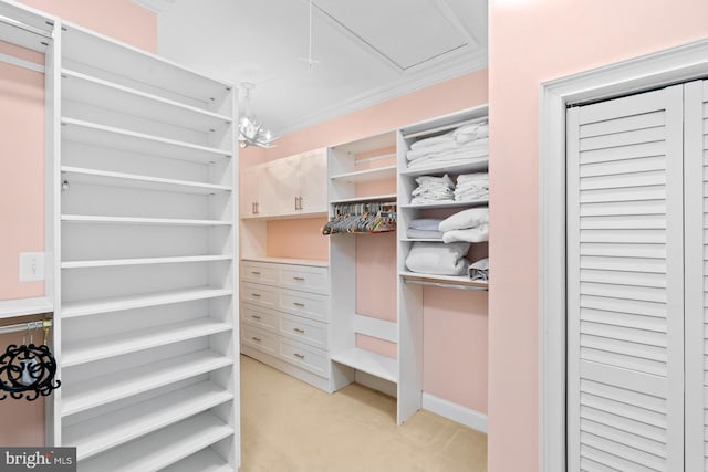 spacious closet with light carpet