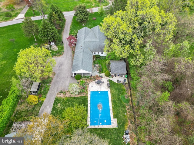 bird's eye view