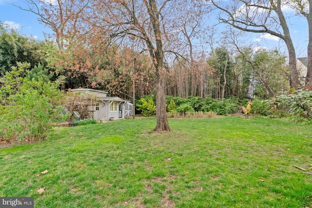 view of yard