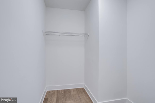 walk in closet featuring wood finished floors