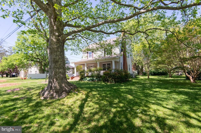 111 Somerset Ave, Cambridge, MD 21613 - view of yard
