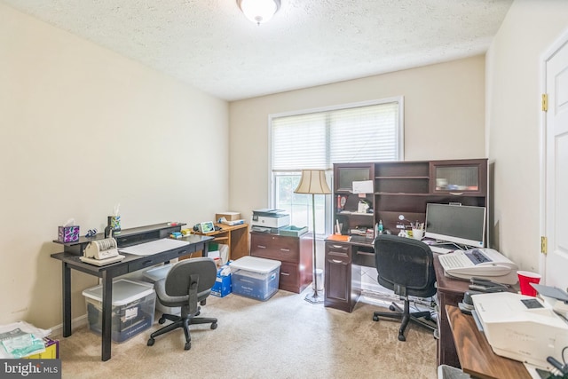 8900 Leonardo St, Pomfret, MD 20675 - office space featuring carpet flooring and a textured ceiling