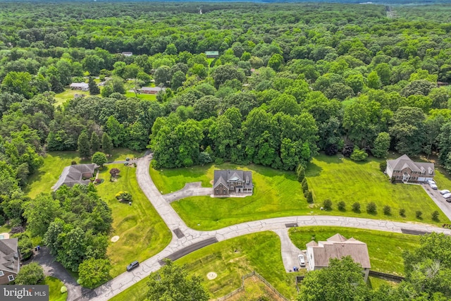 8900 Leonardo St, Pomfret, MD 20675 - bird's eye view of a forest