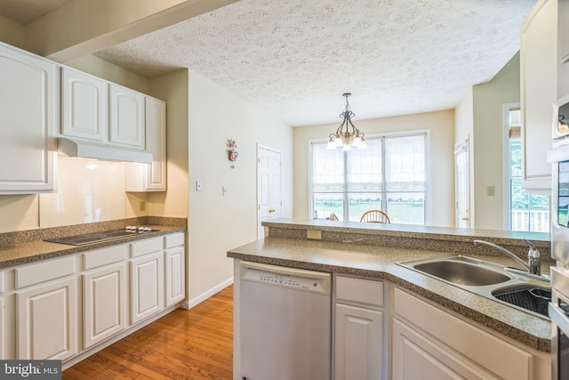 8900 Leonardo St, Pomfret, MD 20675 - kitchen with dishwasher, black electric cooktop, under cabinet range hood, a chandelier, and light wood finished floors