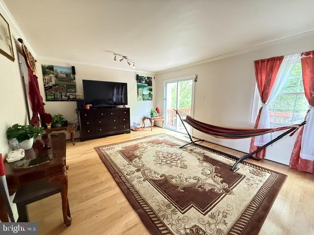 8659 Point Of Woods Dr, Manassas, VA 20110 - living area featuring wood finished floors and ornamental molding