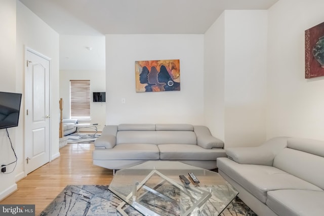 living area featuring light wood-style flooring