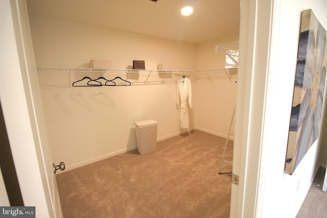 spacious closet with carpet