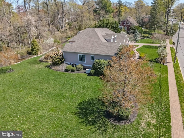 drone / aerial view