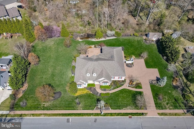 aerial view