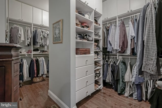 spacious closet featuring wood finished floors