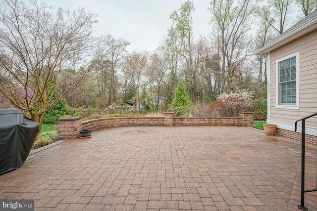 view of patio / terrace with a grill