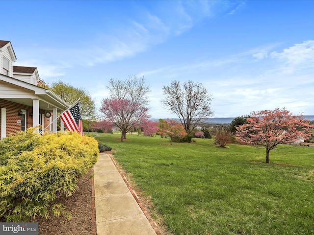 449 Fairview Cir, Woodstock, VA 22664 - view of yard