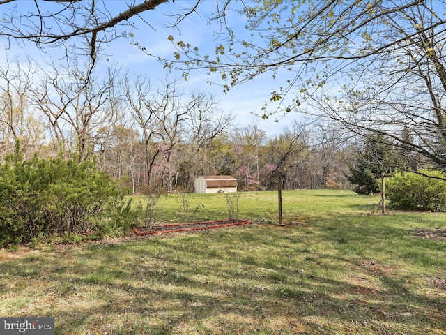 449 Fairview Cir, Woodstock, VA 22664 - view of yard featuring a wooded view, an outbuilding, and a shed