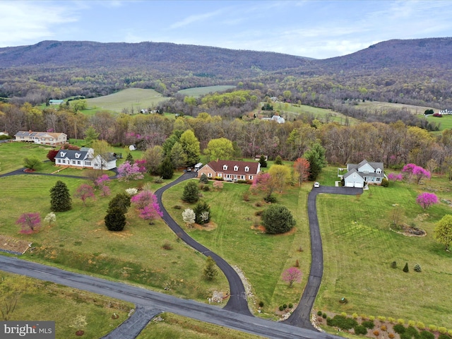 449 Fairview Cir, Woodstock, VA 22664 - bird's eye view featuring a mountain view
