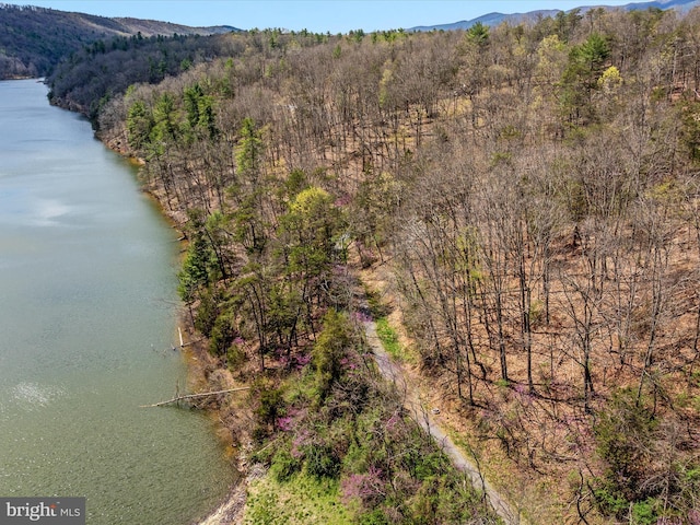bird's eye view with a view of trees and a water and mountain view