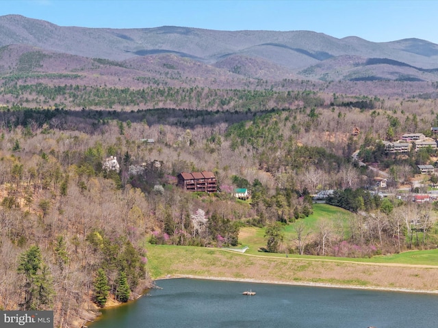 property view of mountains with a wooded view and a water view