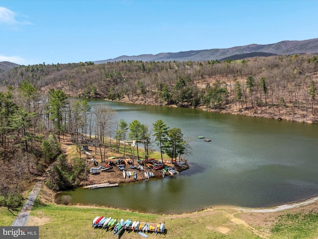 drone / aerial view featuring a wooded view and a water and mountain view