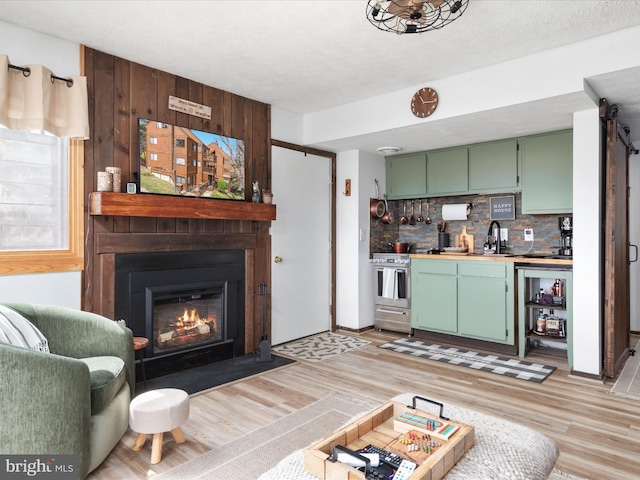 living area with light wood finished floors and a fireplace