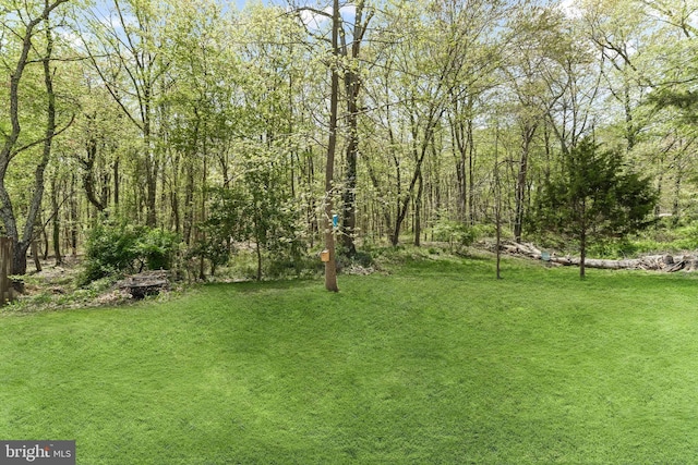 view of yard