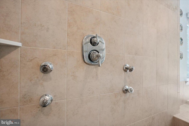 1230 Fairwood Dr, Huntingtown, MD 20639 - interior details featuring a tile shower