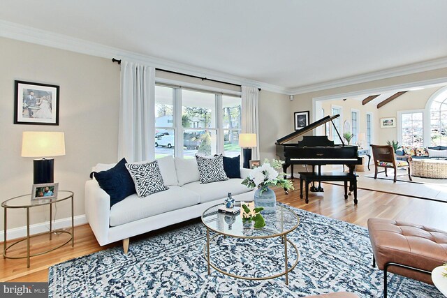 6704 Emporia Ct, Springfield, VA 22152 - living area featuring wood finished floors, ornamental molding, and baseboards