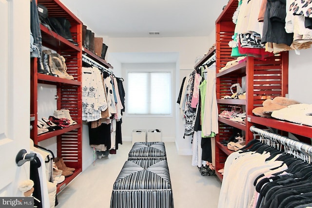 6704 Emporia Ct, Springfield, VA 22152 - walk in closet with carpet flooring
